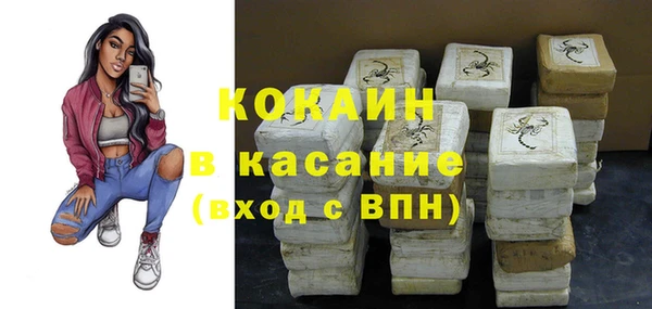 крисы Абаза