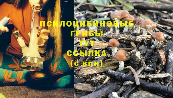 2c-b Алексеевка