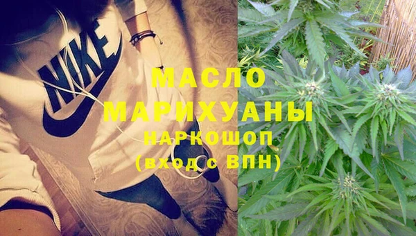 крисы Абаза