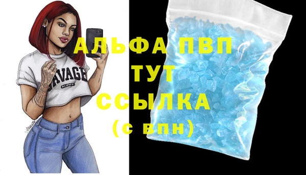 крисы Абаза