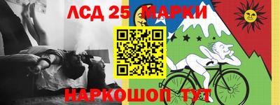 крисы Аргун