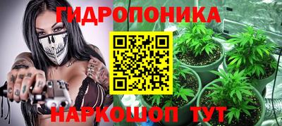 крисы Аргун