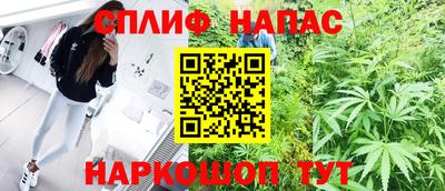 крисы Аргун