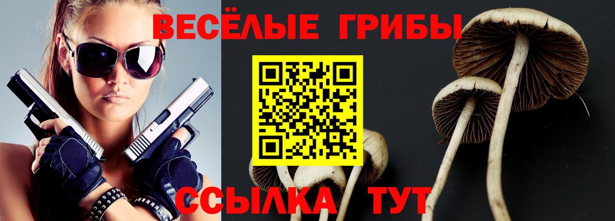 Псилоцибиновые грибы ЛСД  Вход с VPN  Анапа  Галлюциногенные грибы MAGIC MUSHROOMS 
