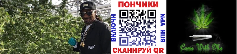 блэк спрут как зайти  Анапа  Бошки марихуана марихуана 